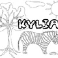 Activités sur le prénom Kylian