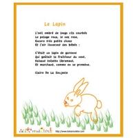 Poésies sur le lapin