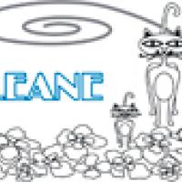 Activités sur le prénom Leane