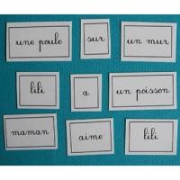 Activité sur les lettres grande section