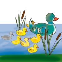 Le vilain petit canard