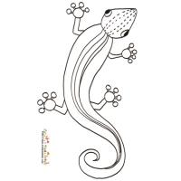 lézard