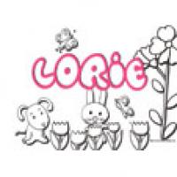 Lorie, coloriages Lorie