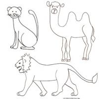 Coloriage mammifères