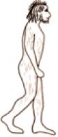 Homme