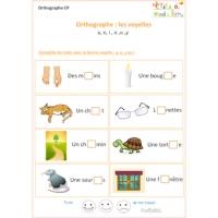 Exercices d'orthographe CP