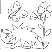 coloriage hérisson fleur papillon