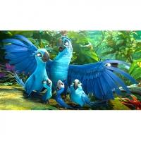 Les personnages de RIO 2