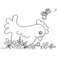 Coloriage de poule
