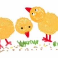 Peindre Aux Doigts Peindre Des Poussins Sur Tete A Modeler