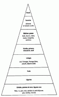 pyramide des besoins alimentaires