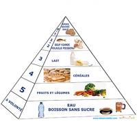 pyramide des aliments