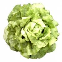 Les salades