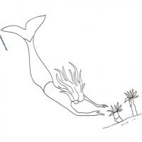 Coloriage des sirènes mi-animal mi-humaine