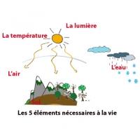 Biologie : Fiches à imprimer sur la biologie