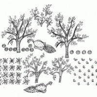 Coloriage fleurs junior