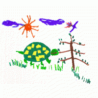 Collage d'une tortue