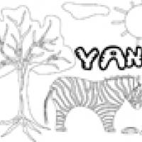 Activités sur le prénom Yann