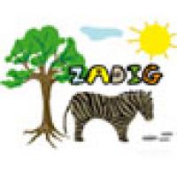 Activités sur le prénom Zadig