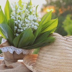 1er mai - fête du muguet, fête du travail