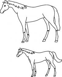 Cheval 02 - motif à imprimer