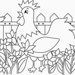 Poule 01 - motif à imprimer