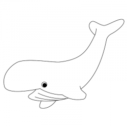 Dessins à imprimer pour le coloriage des baleines. Le coloriage est une activité amusante pour découvrir les baleines,apprendre à mieux les connaître et apprendre leur nom. Le coloriage est l'occasion de découvrir les différentes sortes de baleine comme l