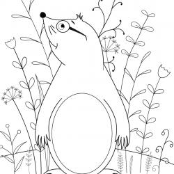 Coloriage Taupe 01 Un Dessin De Tete A Modeler Coloriage Taupe 01 Un Dessin De Tete A Modeler