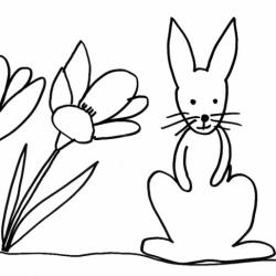 Imprimer le coloriage d'un lapin assis dans les crocus. Dessin très simple d'un lapin dans son jardin