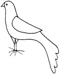 coloriage d'une colombe de Noël