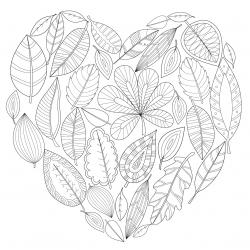 Voici un coloriage de feuilles d'arbre à imprimer gratuitement. Un dessin de feuilles à imprimer pour tous les petits amoureux des arbres et de la nature. Page 05