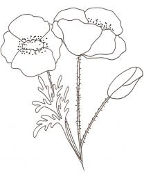 Coloriages de Printemps