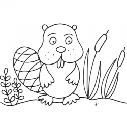 Coloriages de Monsieur raton. Dessins sur les raton laveur à imprimer. Coloriages du personnage animalier autour du raton laveur