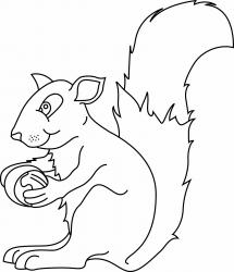 Dessin des animaux vivant dans la forêt et la campagne à imprimer pour le coloriage. Coloriages à imprimer pour mieux connaître les animaux de la forêt et de la campagne. Coloriage à imprimer des animaux des forêts tempérées d