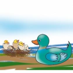 Idée d'activité avec les enfants autour de la pluie
