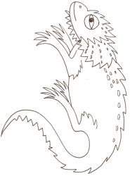 coloriage d'un cameleon - dessin 1