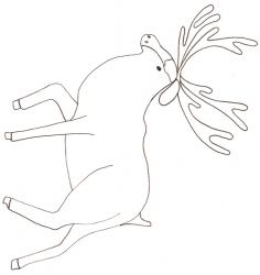 coloriage d'un cerf