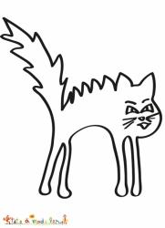 Chat au poil dressé