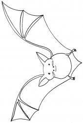 Coloriage chauve-souris