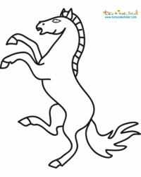 Cheval à crinière tressée