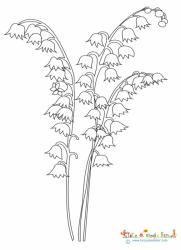 3 brins de muguet sans feuille