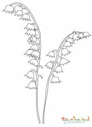 Deux brins de muguet à colorier