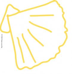 coloriage coquille st jacques