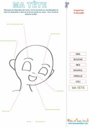 Ma tête, vocabulaire de la tête