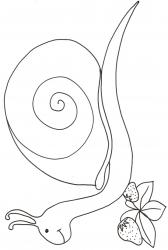 coloriage d'un escargot et fraises