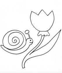 Coloriage de l'escargot à la tulipe