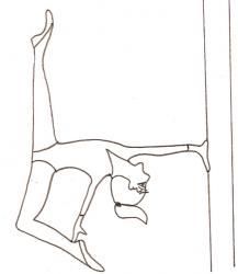 coloriage d'une gymnaste