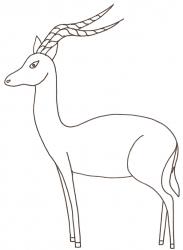 coloriage d'un impala