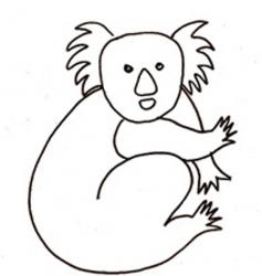 coloriage d'un koala : dessin 2
