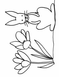 coloriage d'un lapin assis dans les crocus